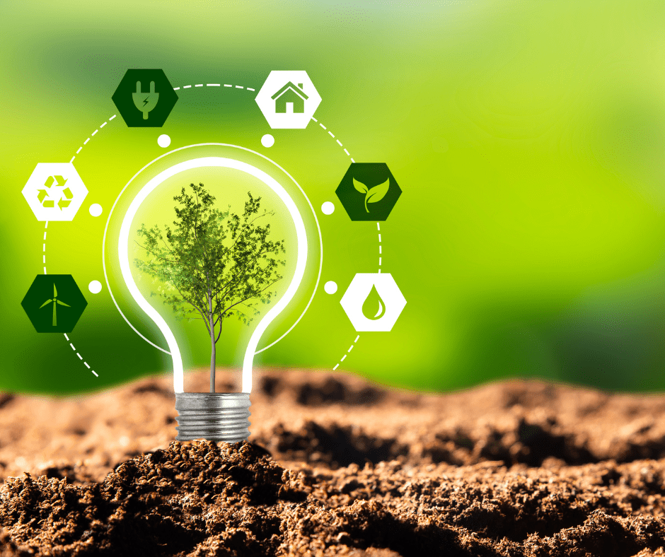 a lightbulb and a plant showing maple knoll village focusing on going green