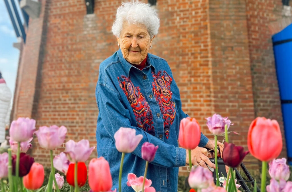 Older woman with white hair wearing a embroidered denim shirt, tending colorful tulips outside a brick building.